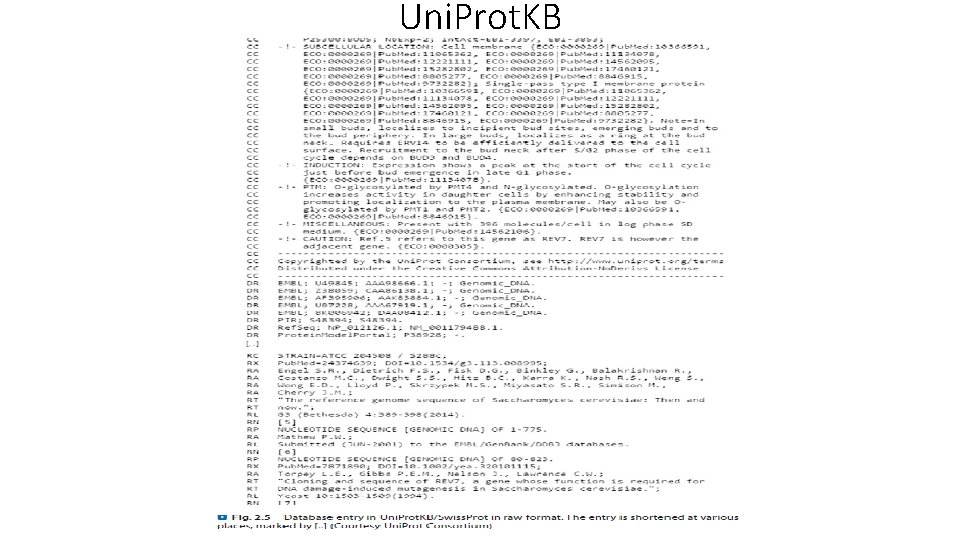 Uni. Prot. KB Uni. Prot. KB