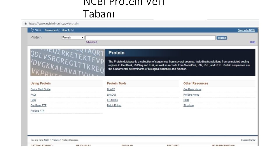 NCBI Protein Veri Tabanı NCBI Protein Veri Tabanı