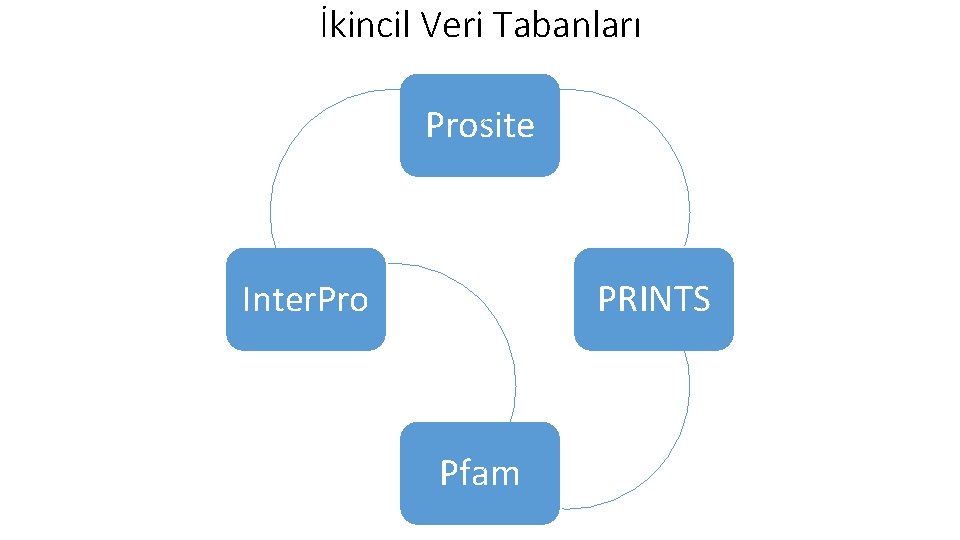 İkincil Veri Tabanları Prosite PRINTS Inter. Pro Pfam İkincil Veri Tabanları Prosite PRINTS Inter. Pro Pfam
