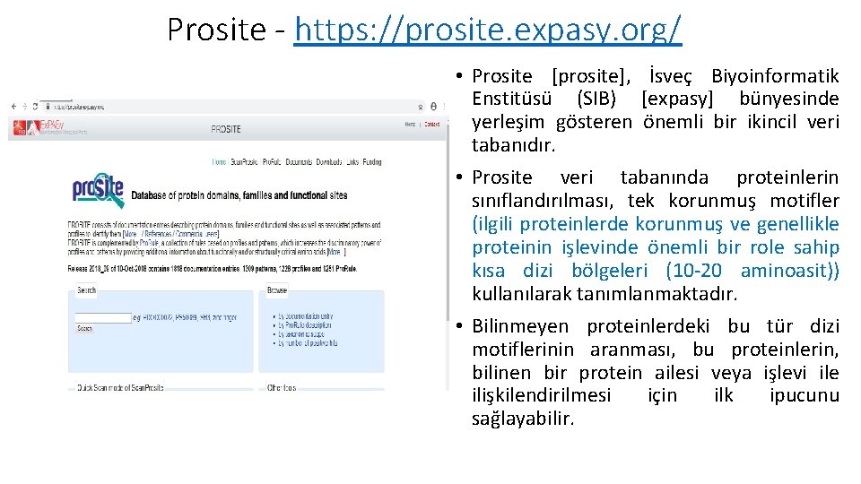 Prosite - https: //prosite. expasy. org/ • Prosite [prosite], İsveç Biyoinformatik Enstitüsü (SIB) [expasy]