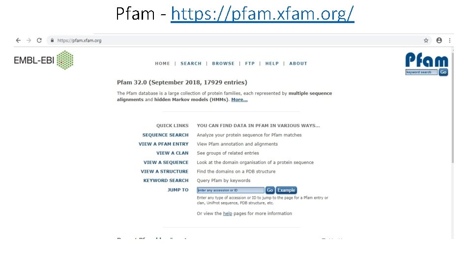 Pfam - https: //pfam. xfam. org/ Pfam - https: //pfam. xfam. org/