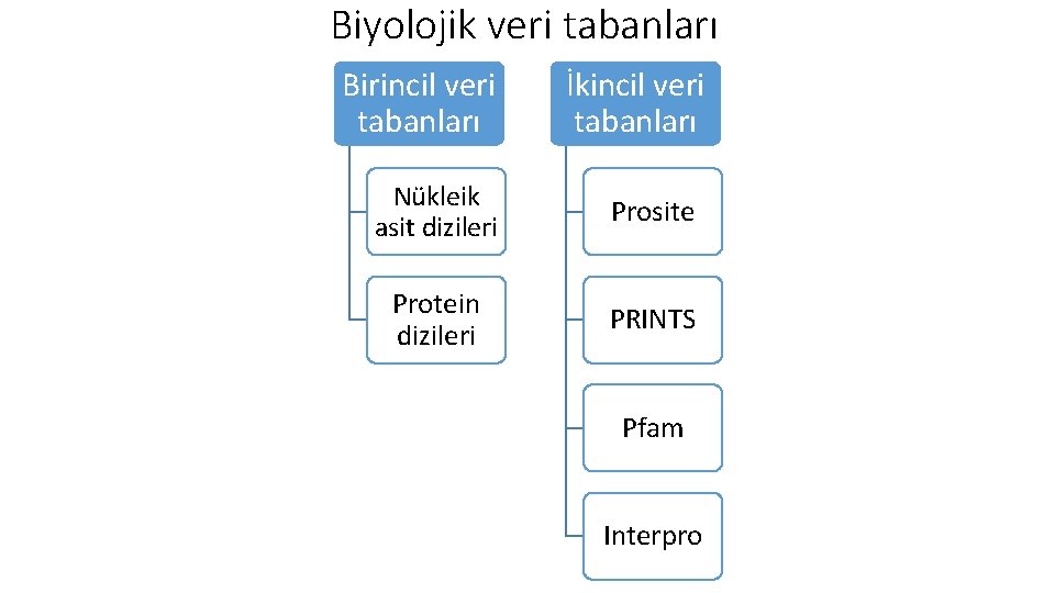 Biyolojik veri tabanları Birincil veri tabanları İkincil veri tabanları Nükleik asit dizileri Prosite Protein Biyolojik veri tabanları Birincil veri tabanları İkincil veri tabanları Nükleik asit dizileri Prosite Protein