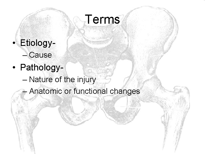 Terms • Etiology– Cause • Pathology– Nature of the injury – Anatomic or functional