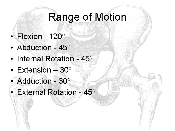 Range of Motion • • • Flexion - 120 Abduction - 45 Internal Rotation