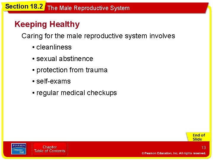 Section 18. 2 The Male Reproductive System Keeping Healthy Caring for the male reproductive