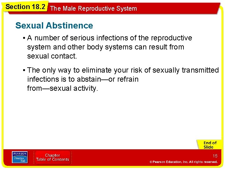 Section 18. 2 The Male Reproductive System Sexual Abstinence • A number of serious