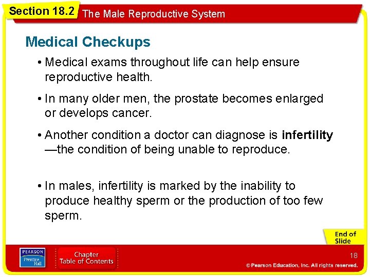 Section 18. 2 The Male Reproductive System Medical Checkups • Medical exams throughout life