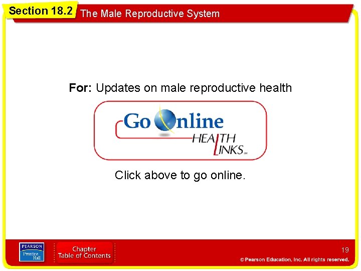 Section 18. 2 The Male Reproductive System For: Updates on male reproductive health Click