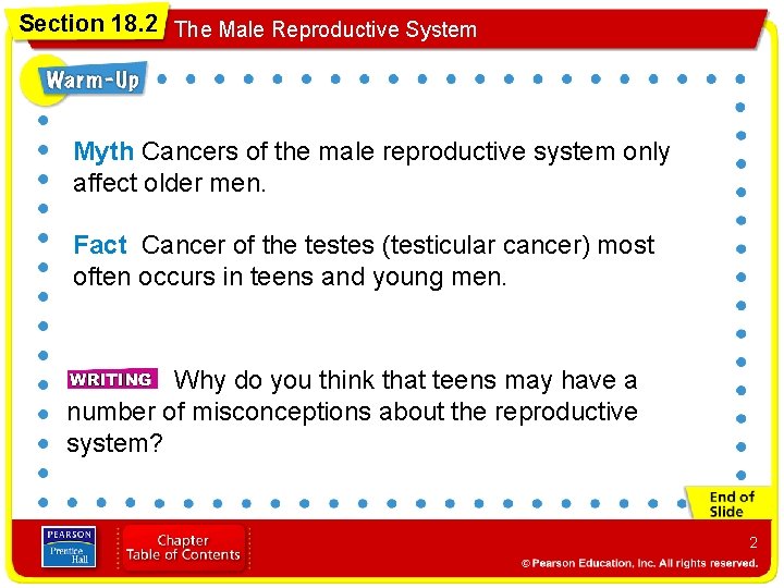 Section 18. 2 The Male Reproductive System Myth Cancers of the male reproductive system