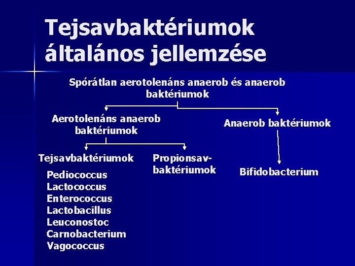 Tejsavbaktériumok általános jellemzése Spórátlan aerotolenáns anaerob és anaerob baktériumok Aerotolenáns anaerob baktériumok Tejsavbaktériumok Pediococcus