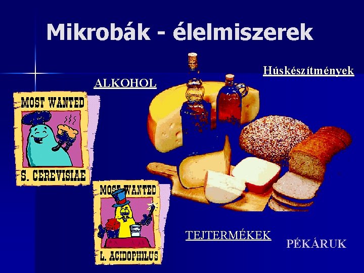 Mikrobák - élelmiszerek ALKOHOL Húskészítmények TEJTERMÉKEK PÉKÁRUK 
