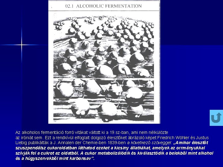 Az alkoholos fermentáció forró vitákat váltott ki a 19. sz-ban, ami nem nélkülözte az