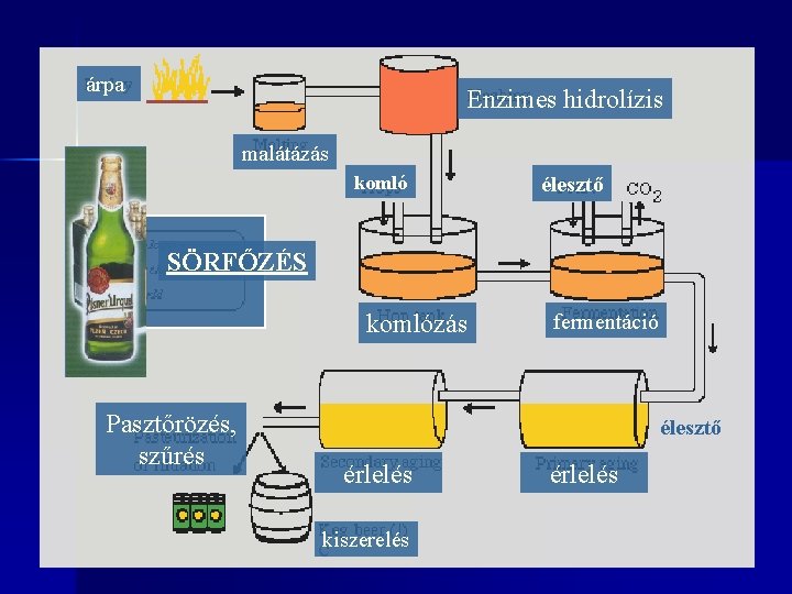 árpa Enzimes hidrolízis malátázás komló élesztő SÖRFŐZÉS komlózás Pasztőrözés, szűrés fermentáció élesztő érlelés ckiszerelés