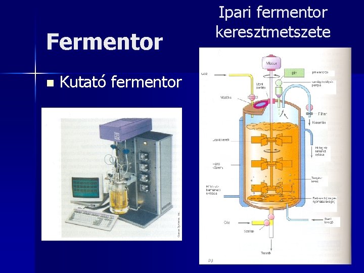 Fermentor n Kutató fermentor Ipari fermentor keresztmetszete 