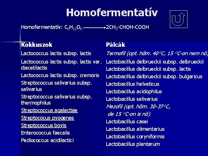 Homofermentatív: C 6 H 12 O 6 2 CH 3 -CHOH-COOH Kokkuszok Pálcák Termofil