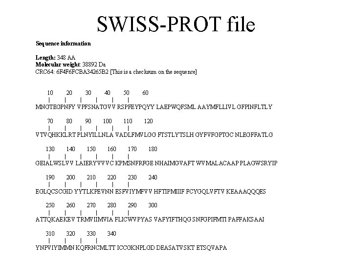 SWISS-PROT file Sequence information Length: 348 AA Molecular weight: 38892 Da CRC 64: 6