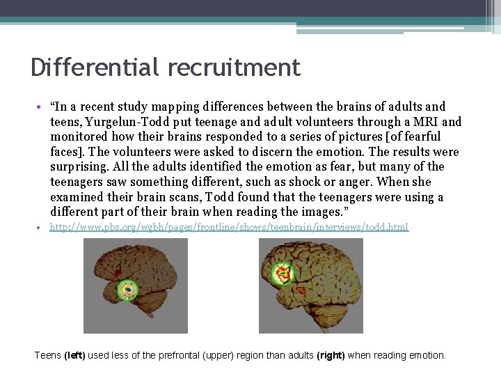 Differential recruitment • “In a recent study mapping differences between the brains of adults