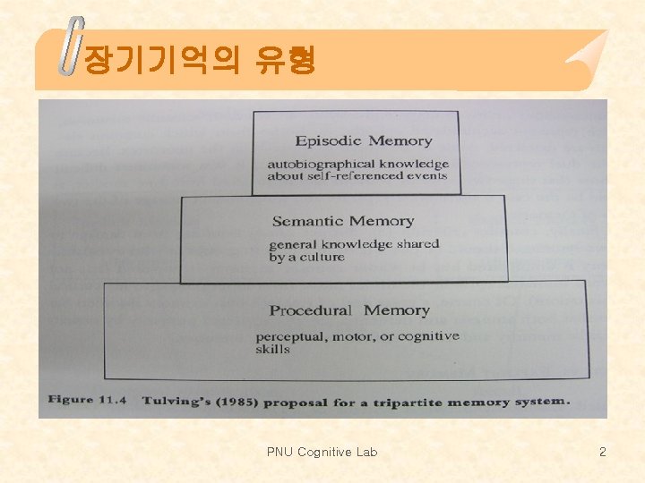 장기기억의 유형 PNU Cognitive Lab 2 