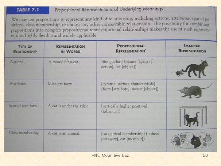 PNU Cognitive Lab 23 