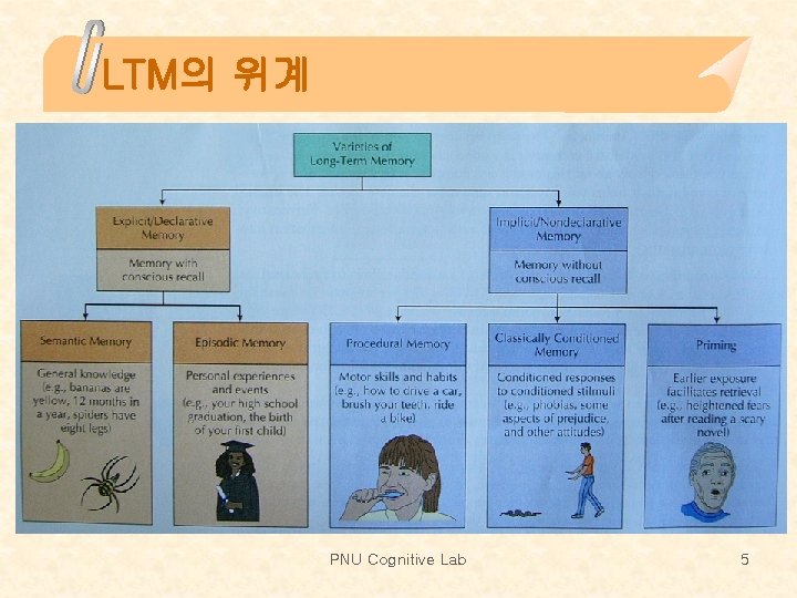 LTM의 위계 PNU Cognitive Lab 5 