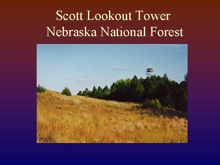 Scott Lookout Tower Nebraska National Forest 