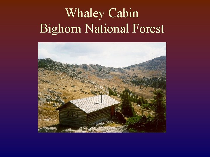 Whaley Cabin Bighorn National Forest 