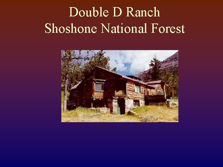 Double D Ranch Shoshone National Forest 