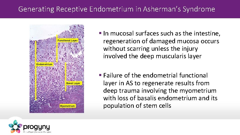 Generating Receptive Endometrium in Asherman’s Syndrome § In mucosal surfaces such as the intestine,