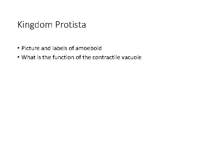 Kingdom Protista • Picture and labels of amoeboid • What is the function of