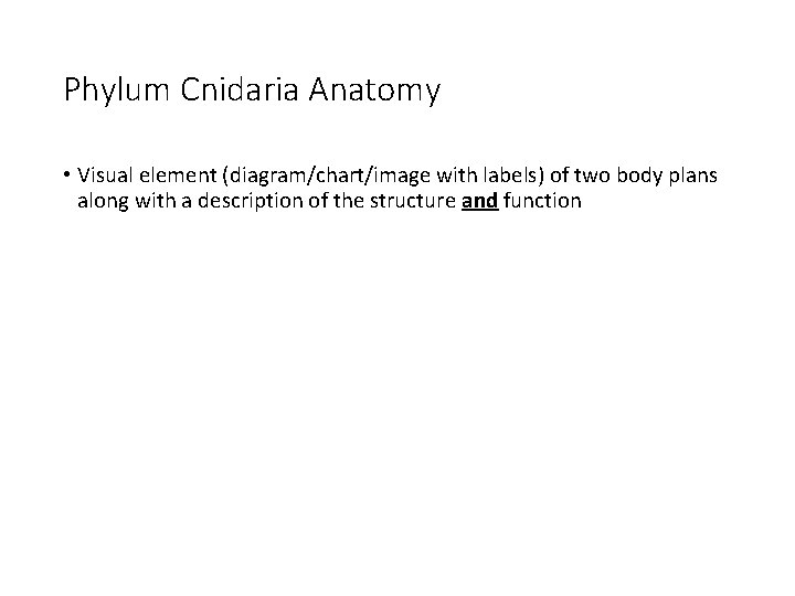 Phylum Cnidaria Anatomy • Visual element (diagram/chart/image with labels) of two body plans along