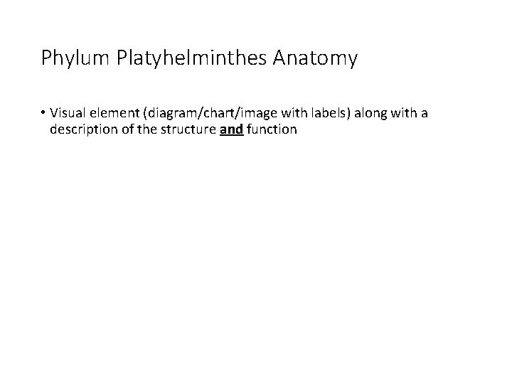 Phylum Platyhelminthes Anatomy • Visual element (diagram/chart/image with labels) along with a description of