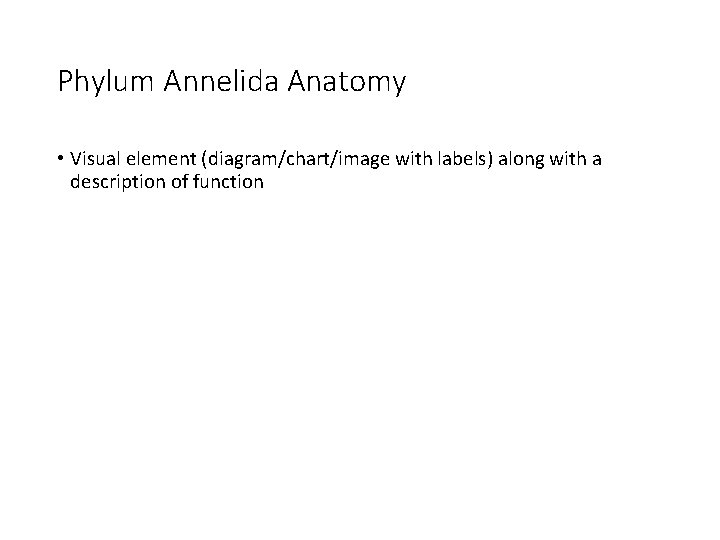 Phylum Annelida Anatomy • Visual element (diagram/chart/image with labels) along with a description of