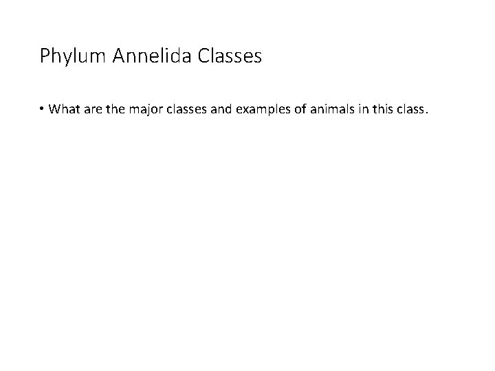 Phylum Annelida Classes • What are the major classes and examples of animals in