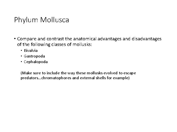 Phylum Mollusca • Compare and contrast the anatomical advantages and disadvantages of the following