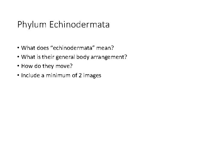 Phylum Echinodermata • What does “echinodermata” mean? • What is their general body arrangement?