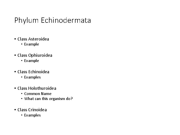 Phylum Echinodermata • Class Asteroidea • Example • Class Ophiuroidea • Example • Class