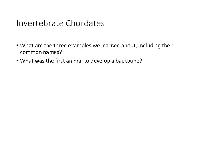 Invertebrate Chordates • What are three examples we learned about, including their common names?