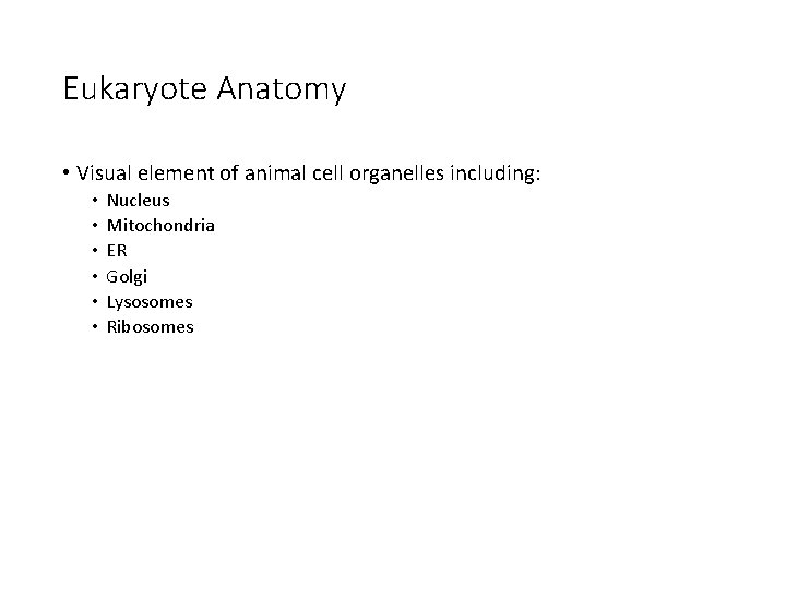 Eukaryote Anatomy • Visual element of animal cell organelles including: • • • Nucleus
