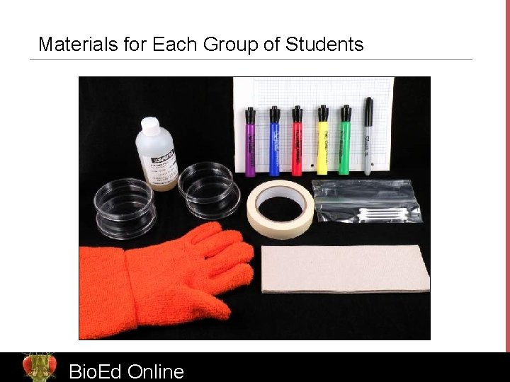 Materials for Each Group of Students Bio. Ed Online 