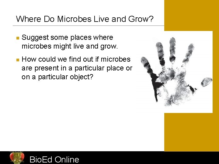 Where Do Microbes Live and Grow? n n Suggest some places where microbes might