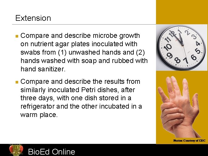 Extension n n Compare and describe microbe growth on nutrient agar plates inoculated with