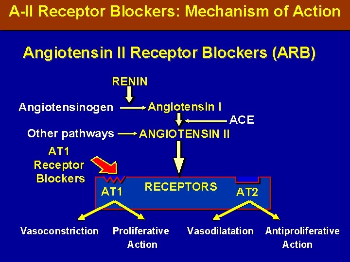 A-II Receptor Blockers: Mechanism of Action Angiotensin II Receptor Blockers (ARB) RENIN Angiotensinogen Other