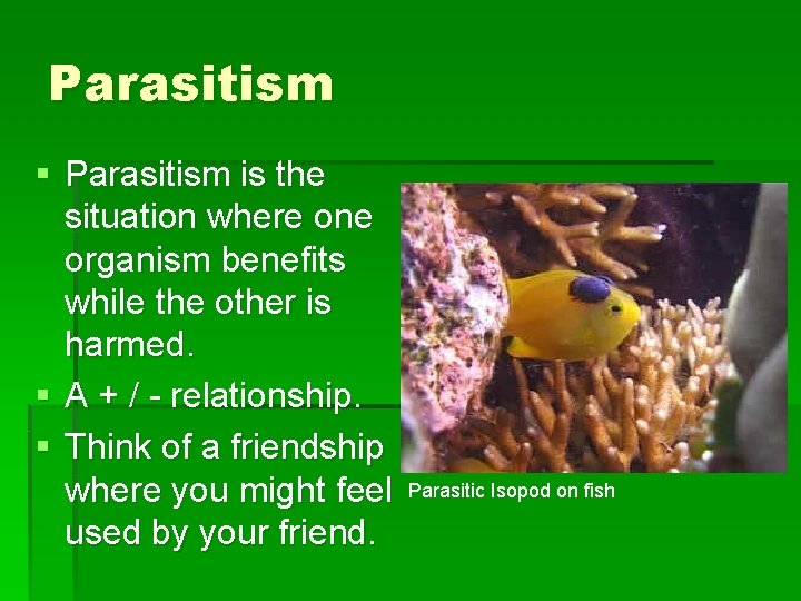 Parasitism § Parasitism is the situation where one organism benefits while the other is