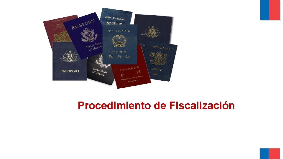 Procedimiento de Fiscalización 