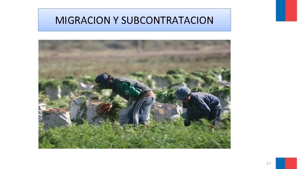 MIGRACION Y SUBCONTRATACION 27 