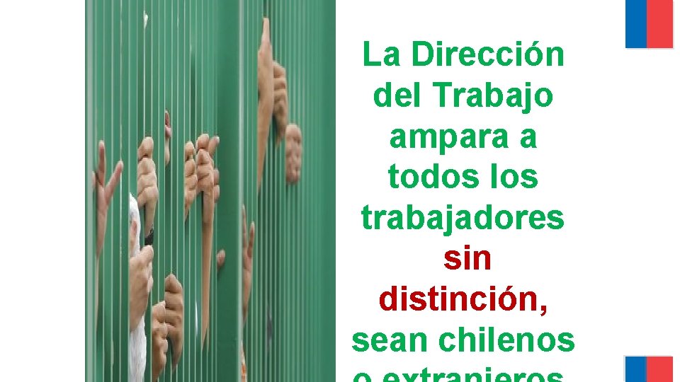 La Dirección del Trabajo ampara a todos los trabajadores sin distinción, sean chilenos 