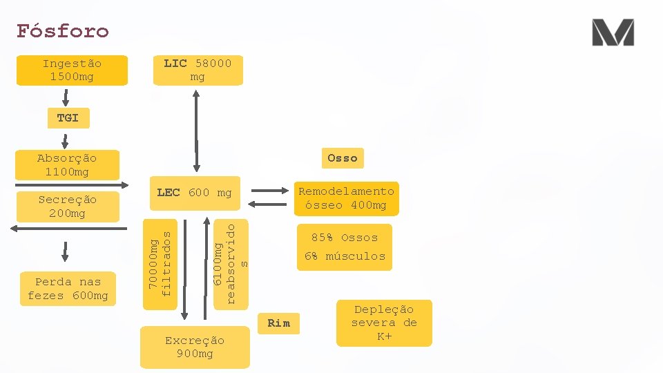 Fósforo Ingestão 1500 mg LIC 58000 mg TGI Osso Absorção 1100 mg 6100 mg