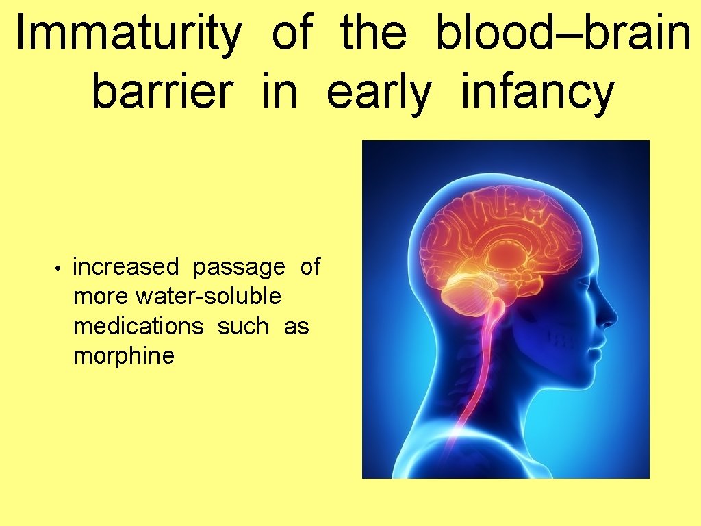 Immaturity of the blood–brain barrier in early infancy • increased passage of more water-soluble