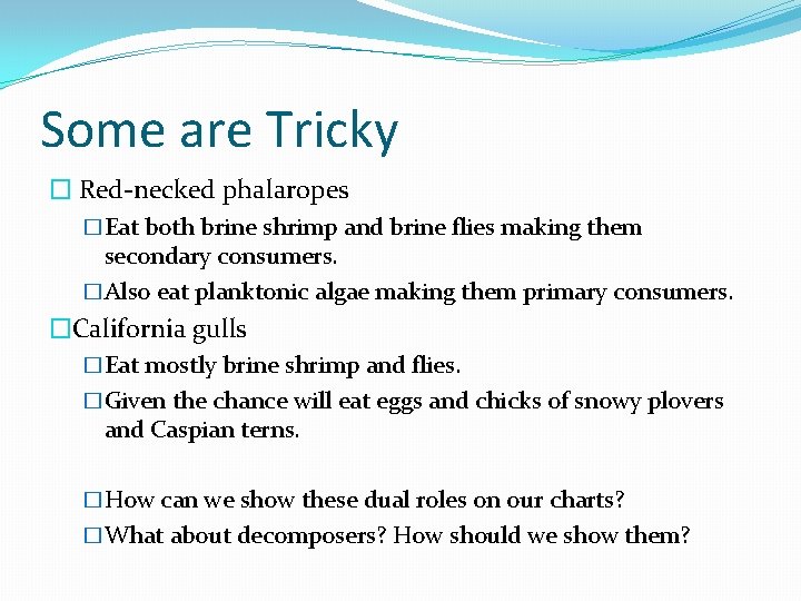 Some are Tricky � Red-necked phalaropes �Eat both brine shrimp and brine flies making