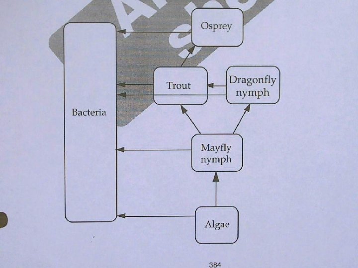 Finish up Lab sheet 21. 
